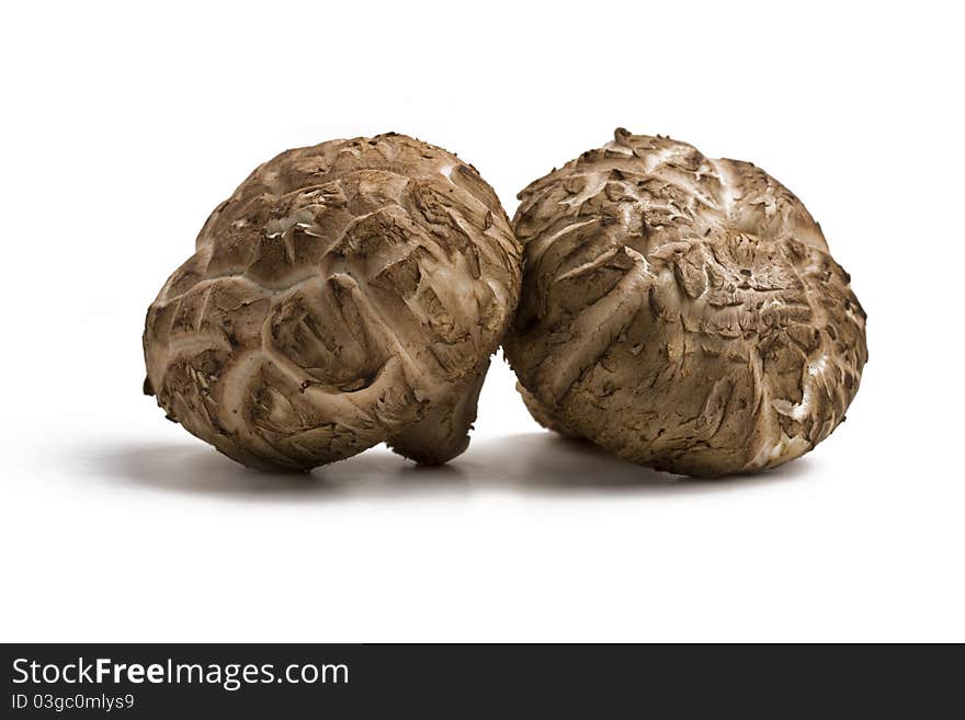 Two shitake mushrooms isolated on white background. Two shitake mushrooms isolated on white background.