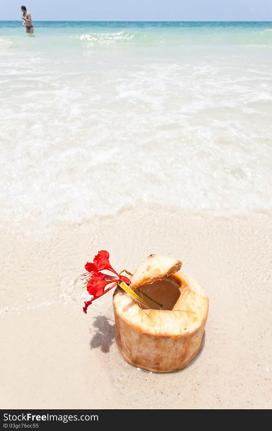 Coconut on white sand