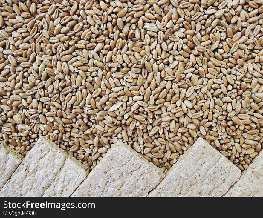 Bread crisps and grains of wheat