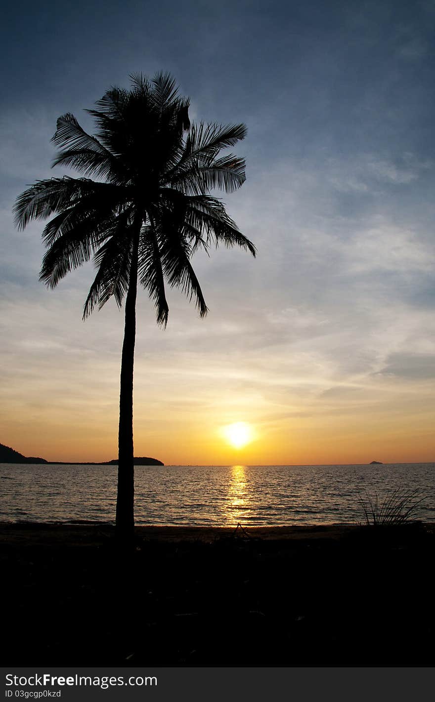 Coconut tree and the sunset. Coconut tree and the sunset