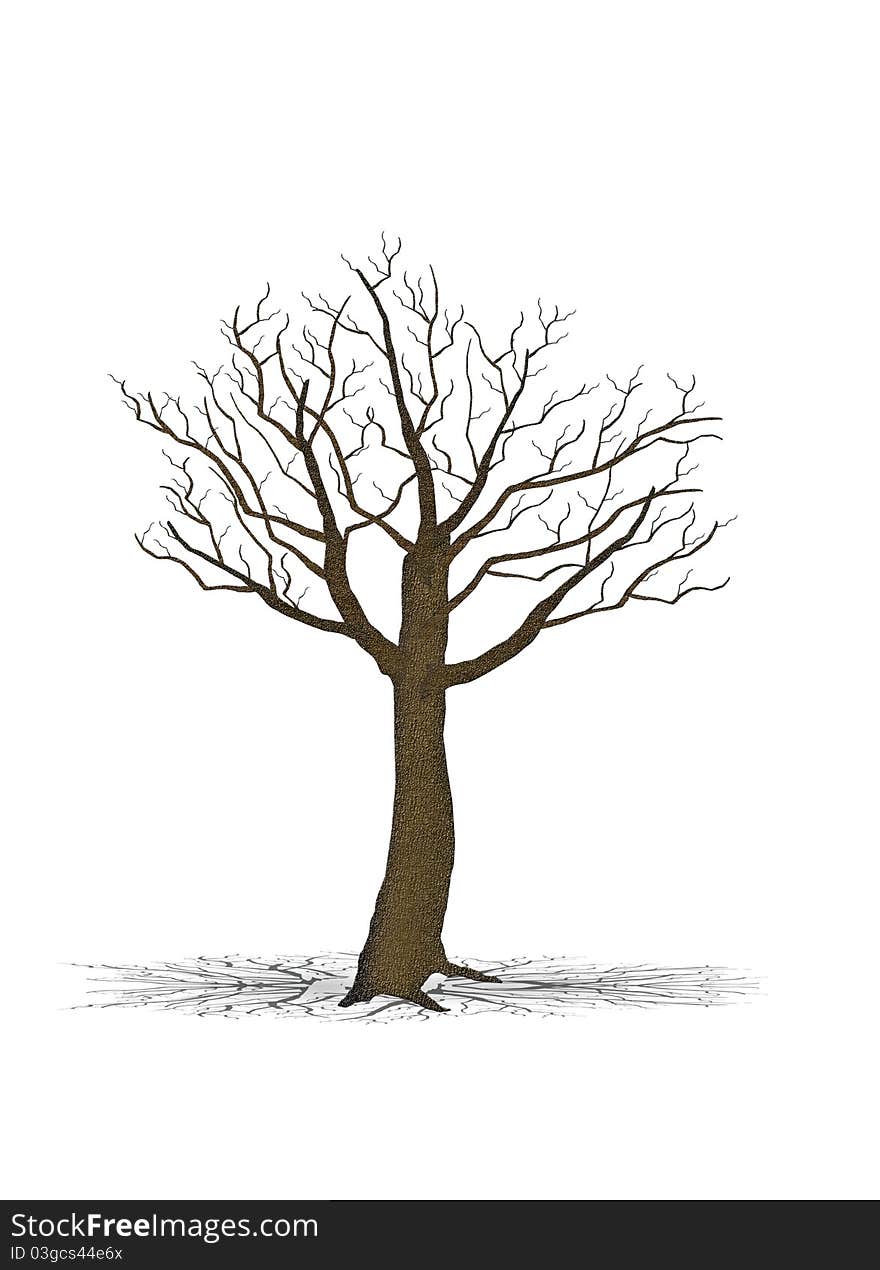 Dry tree silhouette,brown,dead