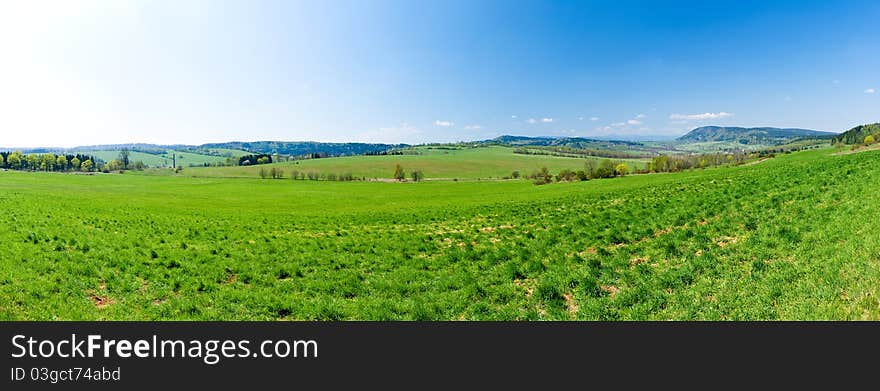 Fresh green panorama