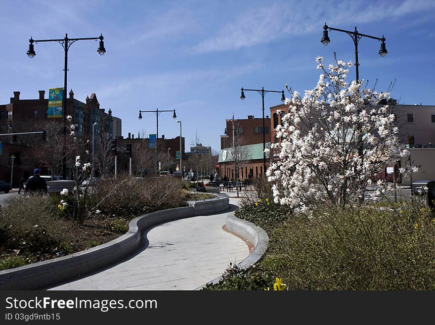 Cambrige street in Massachusetts