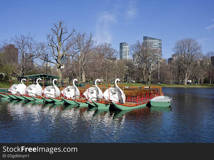 Boson Common public park in the city center. Boson Common public park in the city center