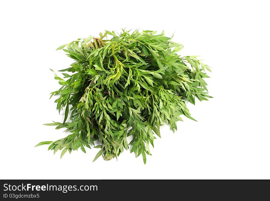 King Of Salad or Ulam Rajah Or Cosmos caudatus in isolated white background