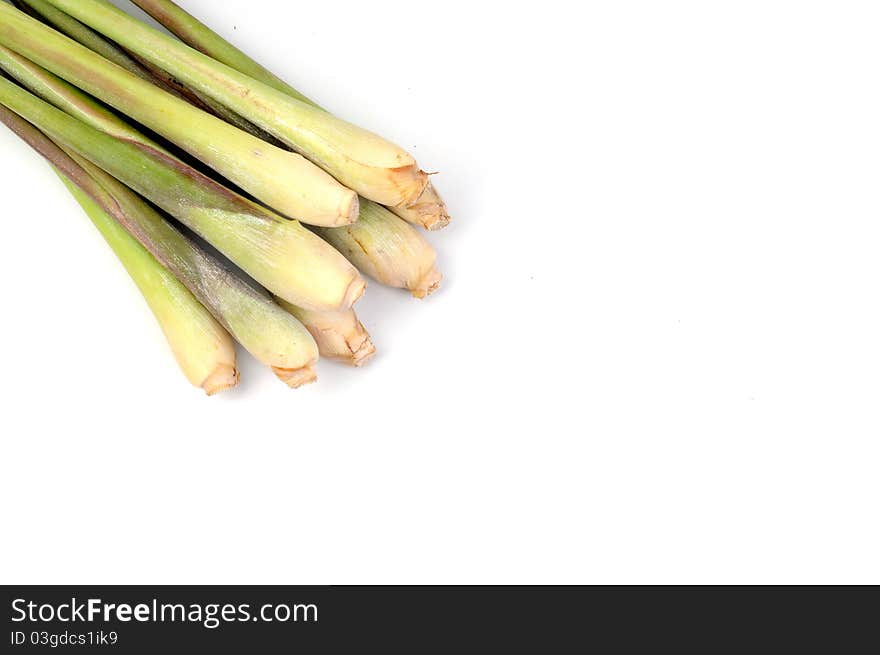 Lemon Grass Isolated White Background