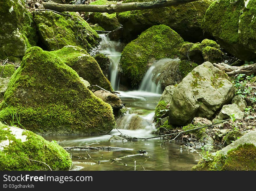 Stream in forest in Veliko Tuenovo