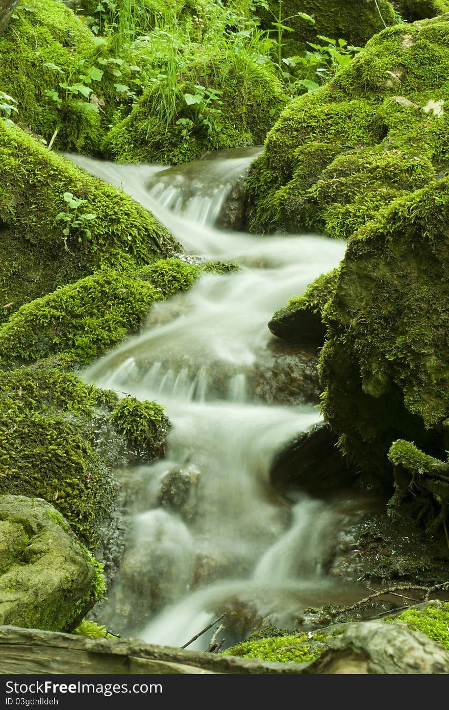 Stream in forest 2