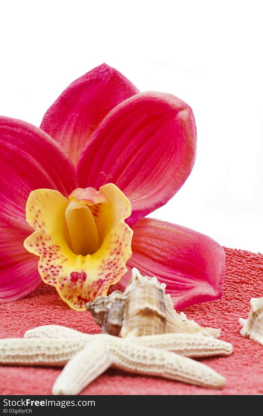 Orchid towel decoration