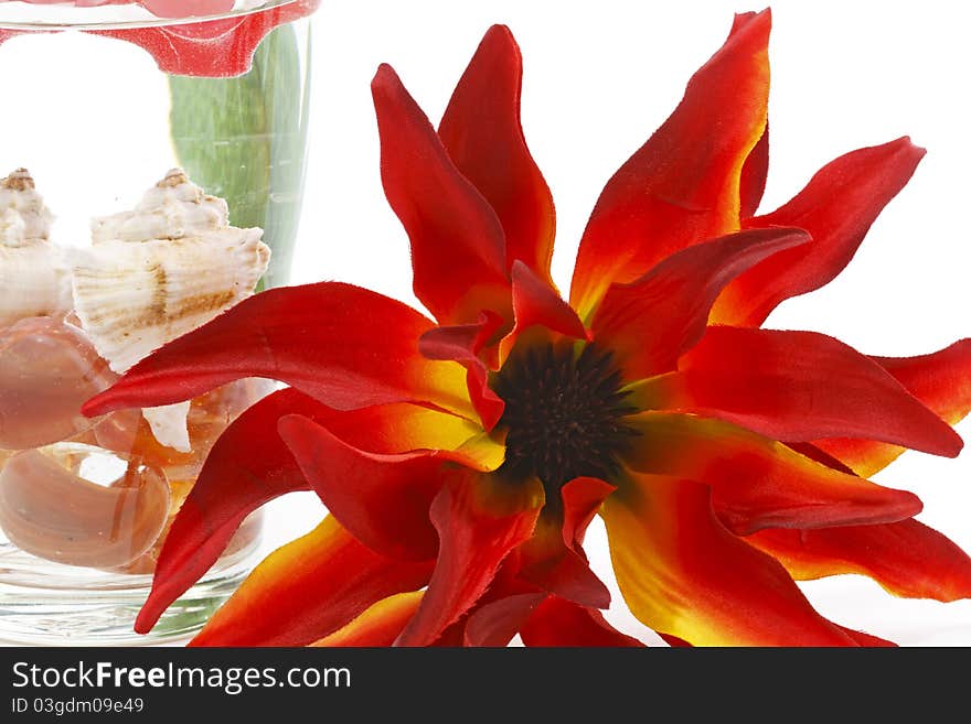 Flower and candle in glass as a decoration isolated on white. Flower and candle in glass as a decoration isolated on white