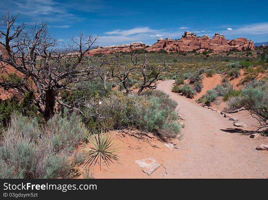 Trail in Arches National Park