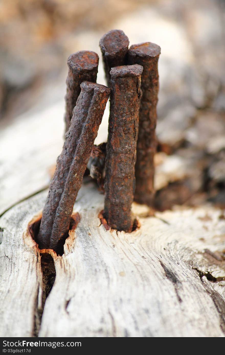 Bent iron bars leaning towards each other. Bent iron bars leaning towards each other