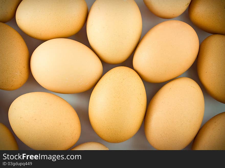 Close up of Chicken eggs