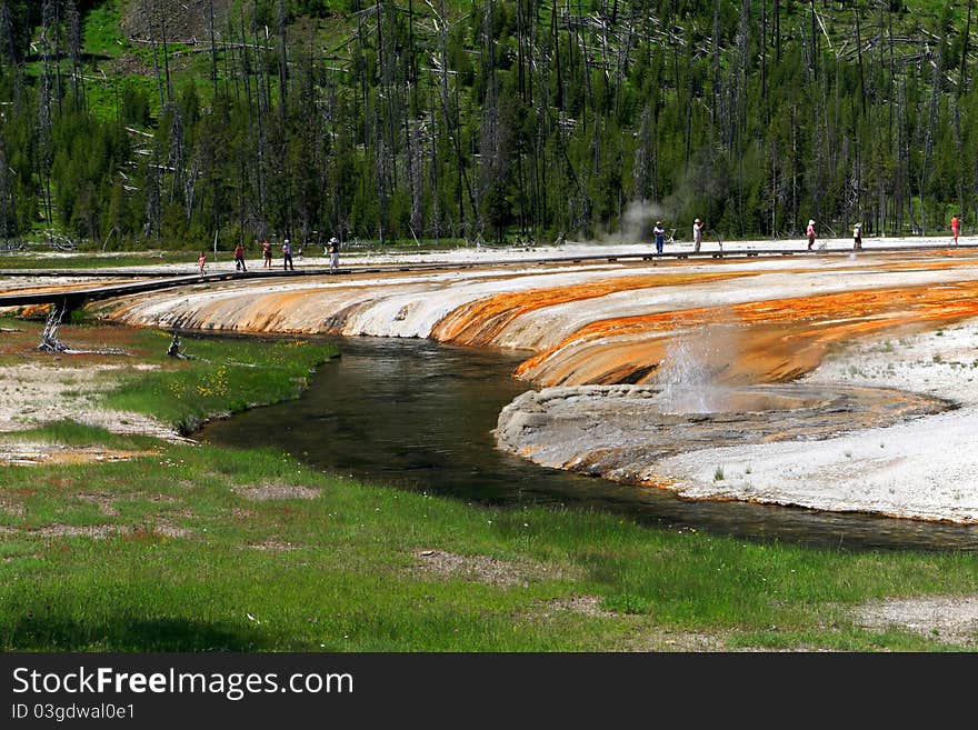 Stream Flowing through the Lower Geyser Basin,Black Sand Basin Scenic Area in South Yellowstone National Park.