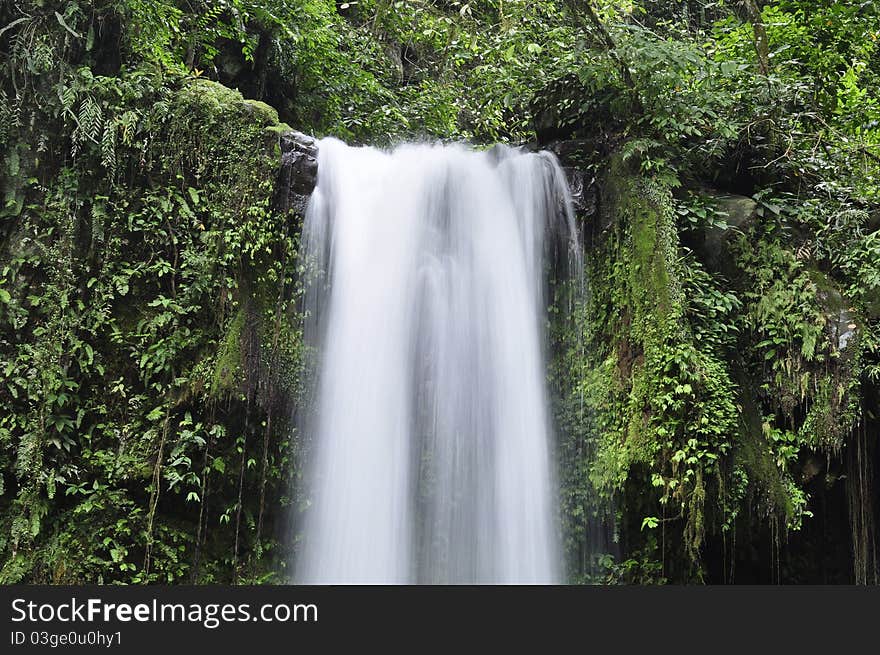 Waterfall in a dense forest. Waterfall in a dense forest