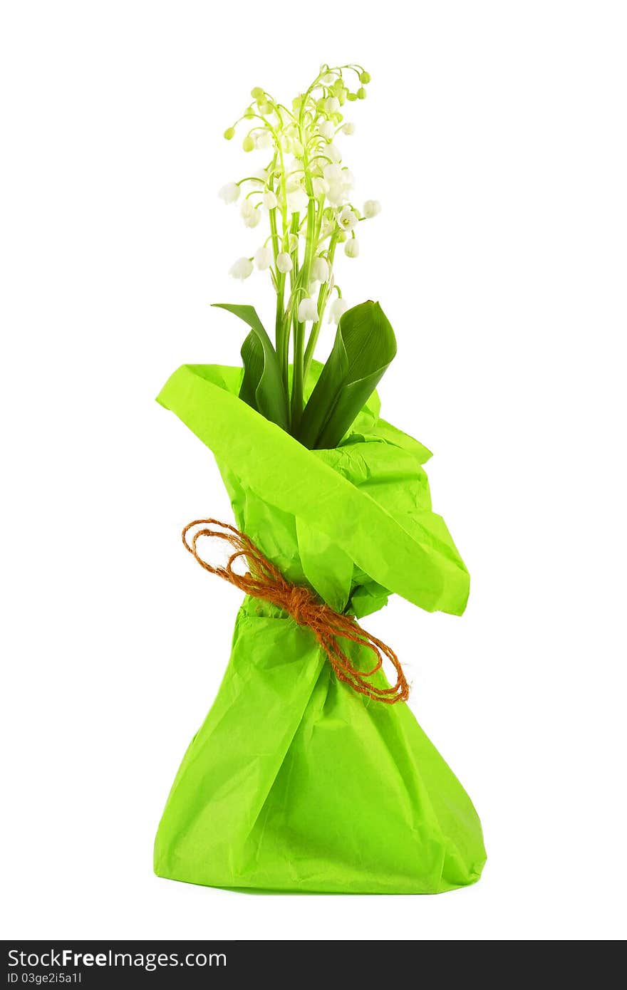 Flowers lily of the valley in a bright green paper