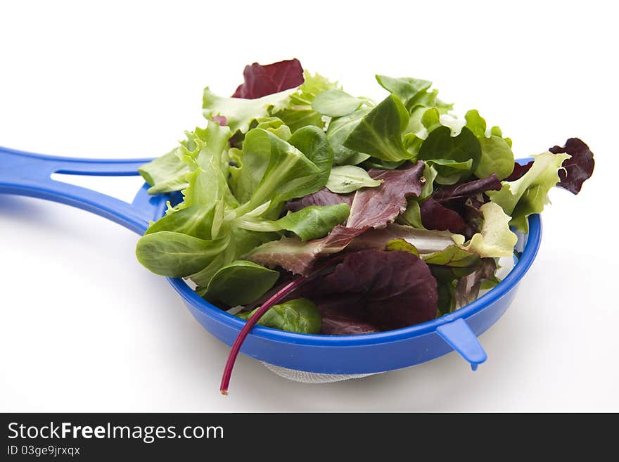 Lettuce Leaves