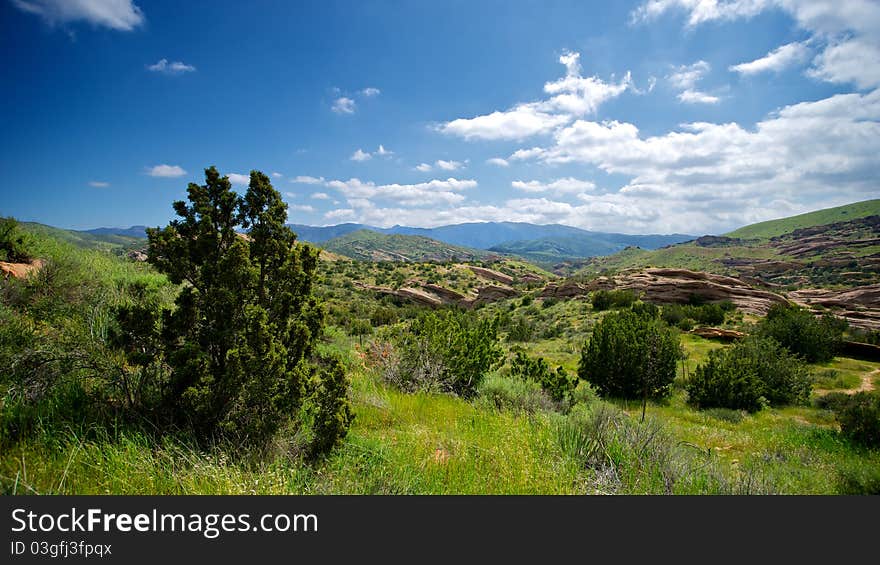 The Stretch Of Green California