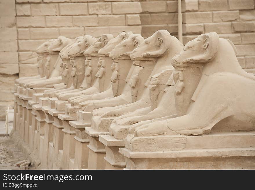 Ram headed avenue of sphinxes at Karnak Temple in Luxor. Ram headed avenue of sphinxes at Karnak Temple in Luxor