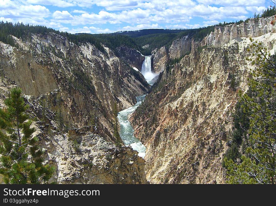 Lower Falls in Yellowstone National Park as seen from Artist Point. Lower Falls in Yellowstone National Park as seen from Artist Point