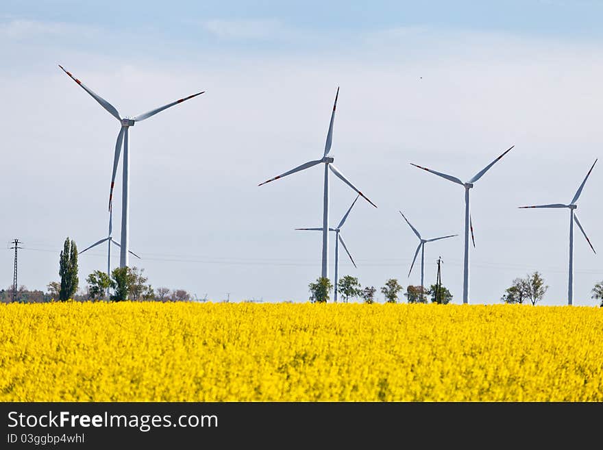 Wind powerplants countryside in field