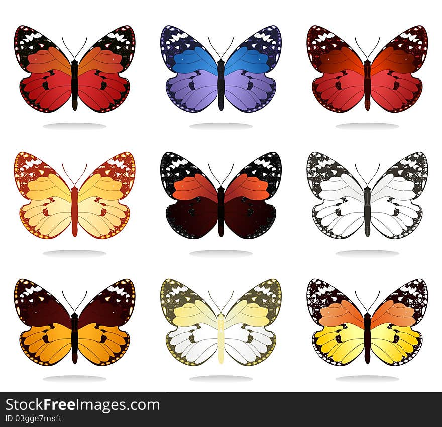 Collection of butterflies of different kinds. A  illustration. Collection of butterflies of different kinds. A  illustration