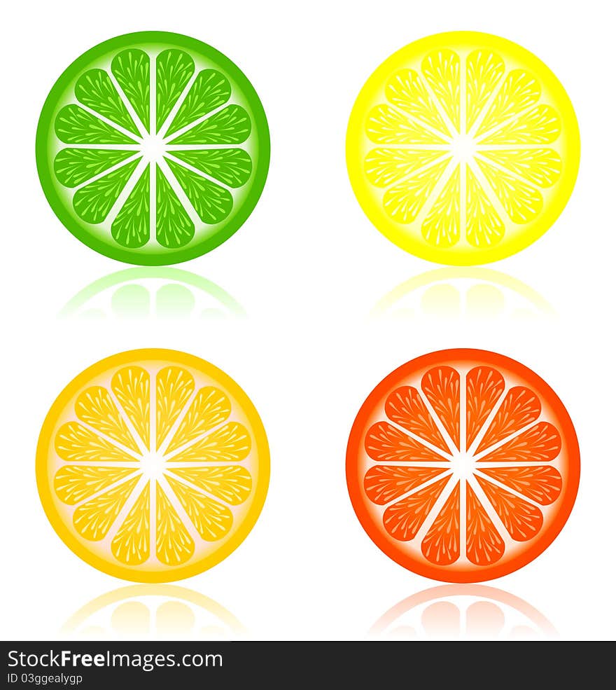 Set of icons of citron fruit. A  illustration. Set of icons of citron fruit. A  illustration