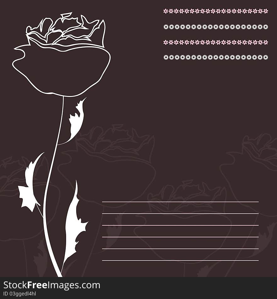 White rose on a brown background. A illustration