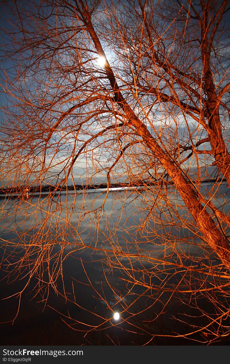 I love this photograph! It was taken at 4 am on 2.5 second shutterspeed in Silver Lake Minnesota. The moon light creeps through the barren branches reflecting on the water and from that moonlight appears to create a bowl of fire on the water in the background. I love this photograph! It was taken at 4 am on 2.5 second shutterspeed in Silver Lake Minnesota. The moon light creeps through the barren branches reflecting on the water and from that moonlight appears to create a bowl of fire on the water in the background.