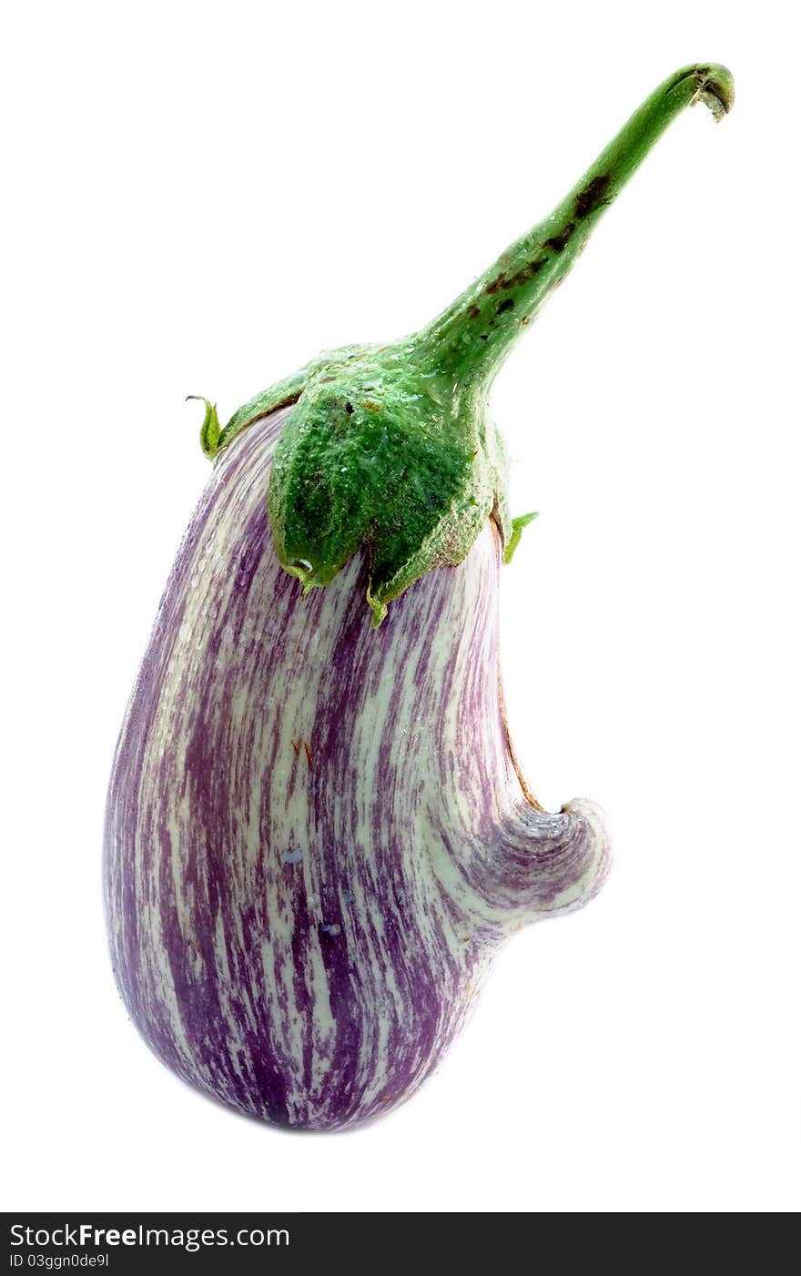 Aubergine