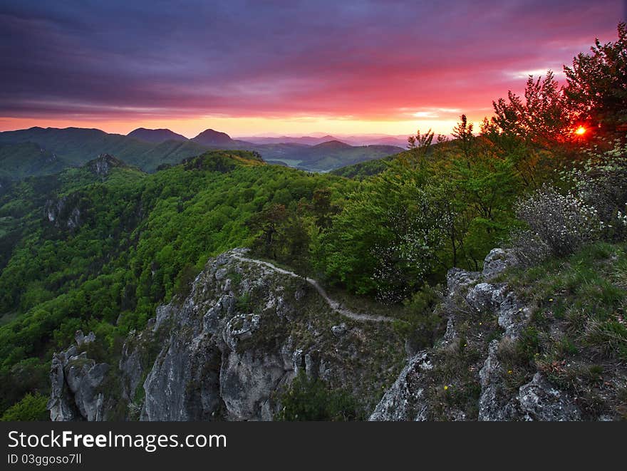 Green forest mountain at sunset