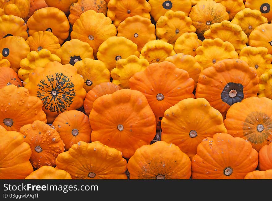 Colorful pumpkins collection on the autumn market