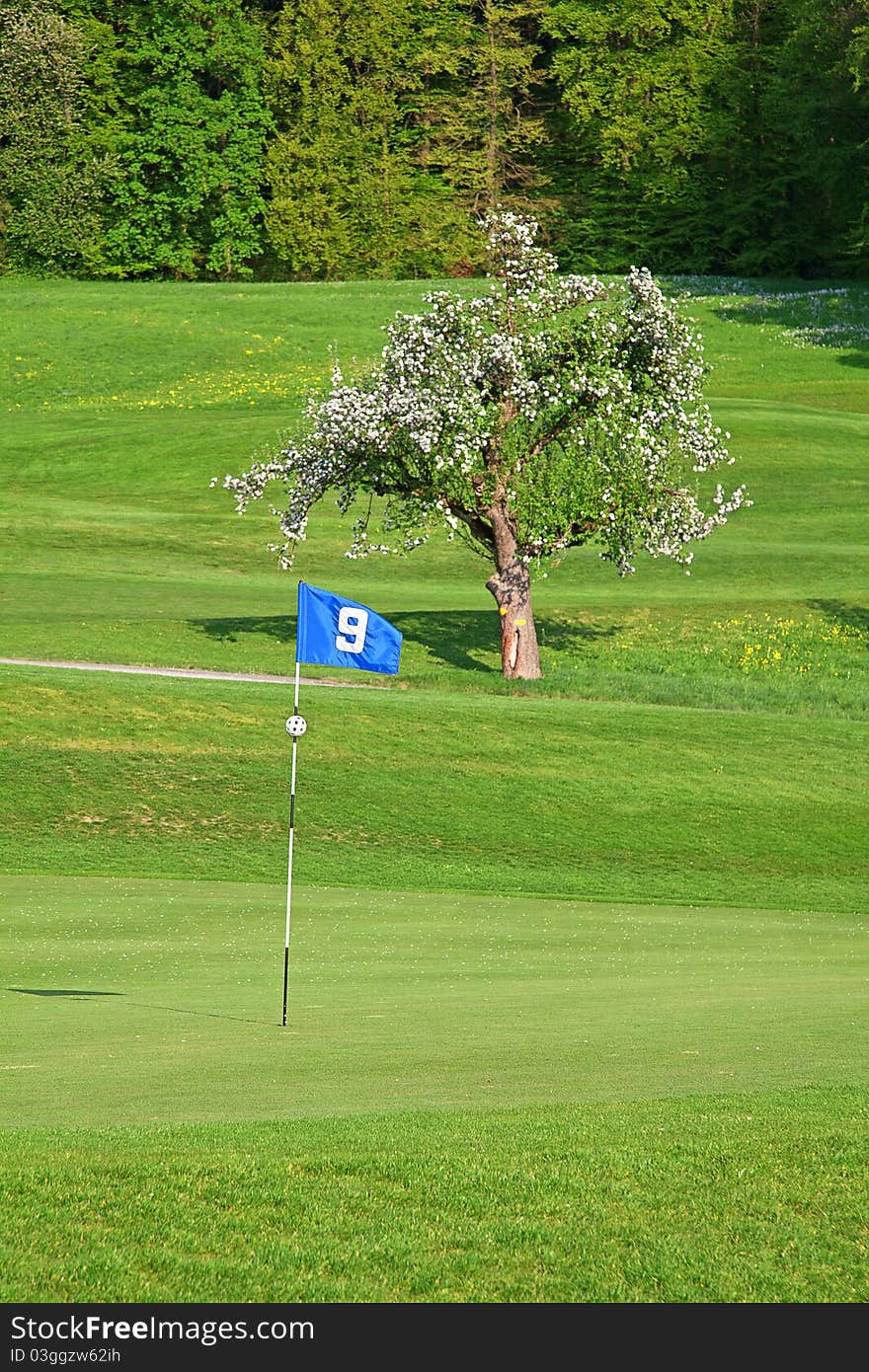 9th flag on the golf course. 9th flag on the golf course