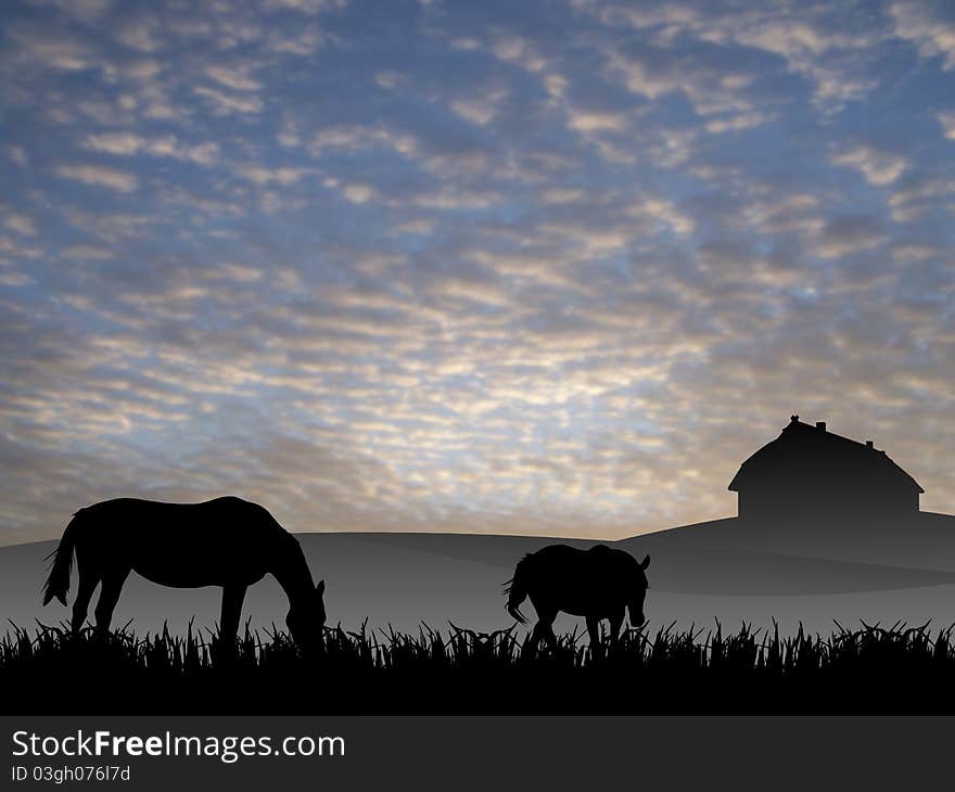 Two horses on pasture at sunset