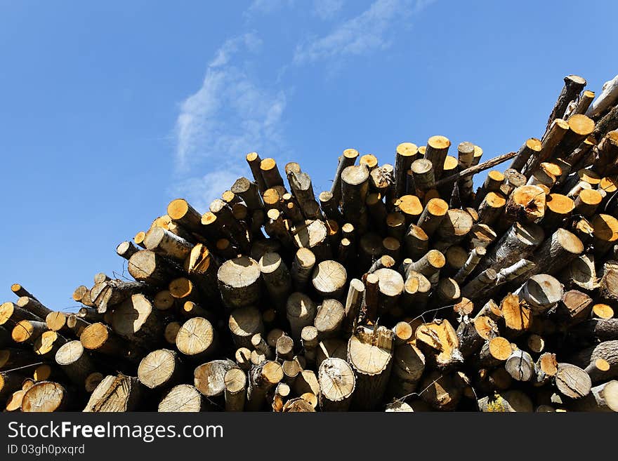 Big woodpile and blue sky in spring. Big woodpile and blue sky in spring