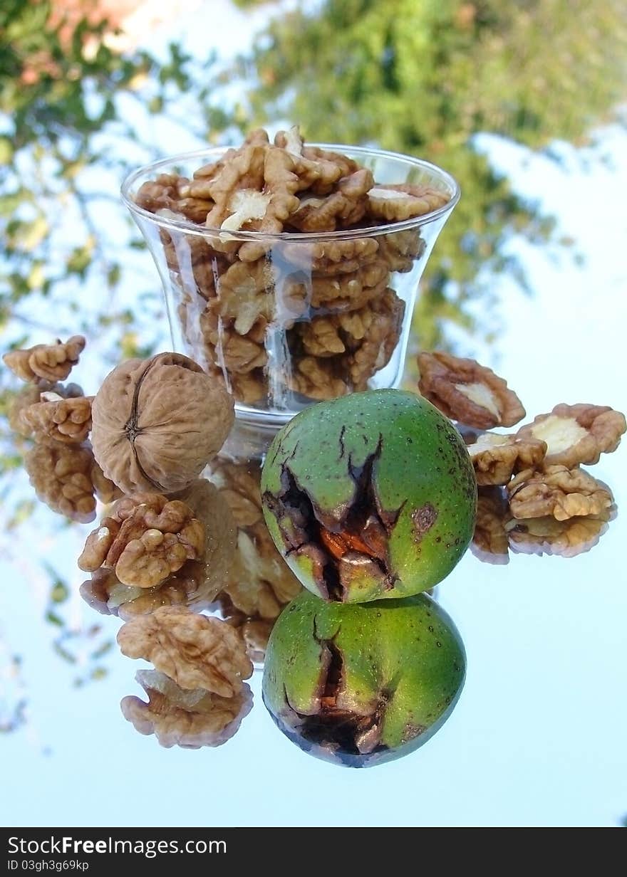 Beautiful still life image of nuts