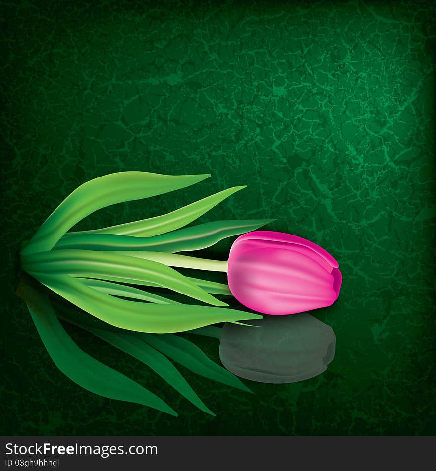 Abstract floral illustration with pink tulip on cracked green background. Abstract floral illustration with pink tulip on cracked green background