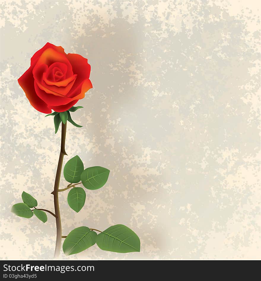 Abstract grunge floral background with red rose on beige. Abstract grunge floral background with red rose on beige