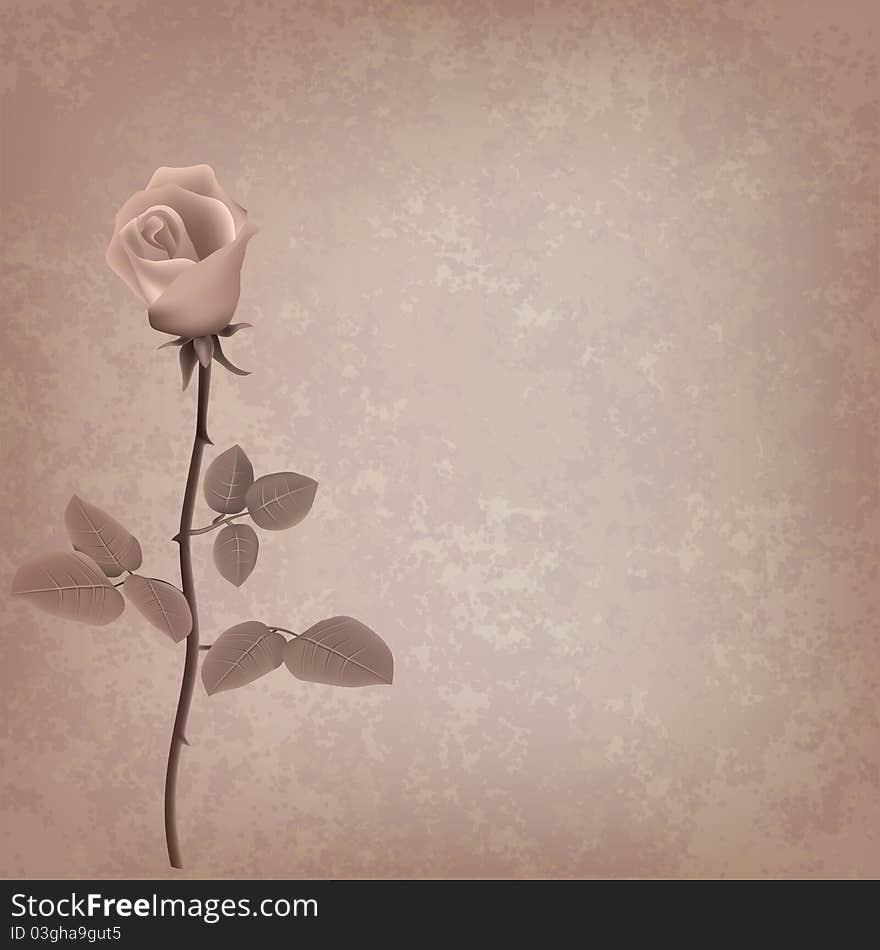 Abstract Grunge Floral Background With Rose