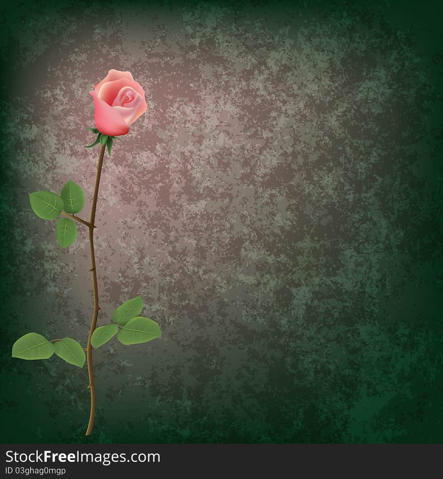 Abstract grunge floral background with rose on grey