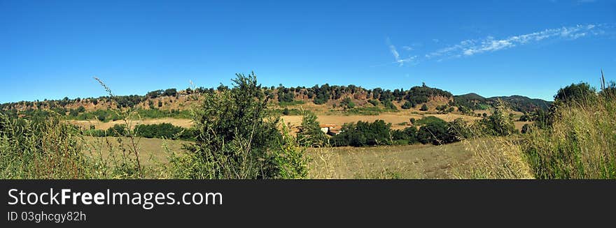 Panoramic Summer Landscape