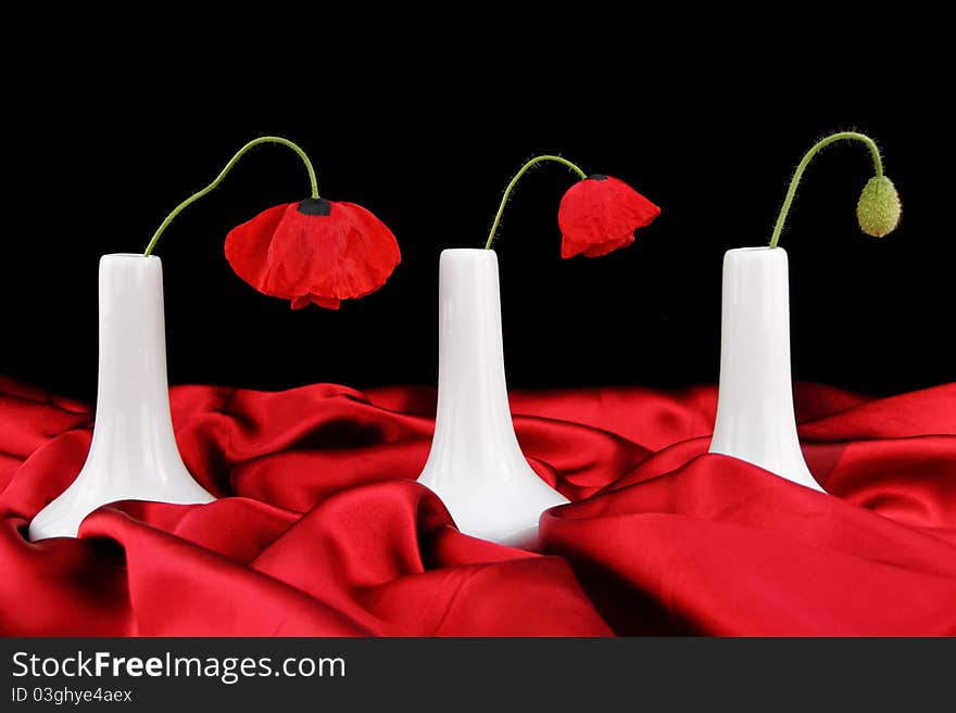 White vases with poppy flowers