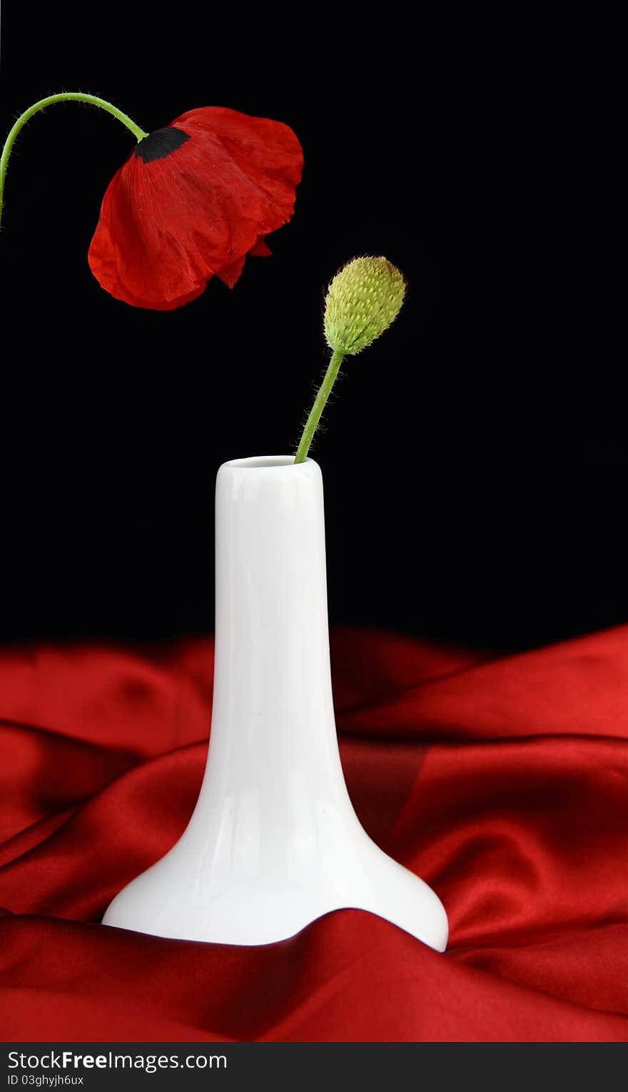 White vase with bud poppy flower