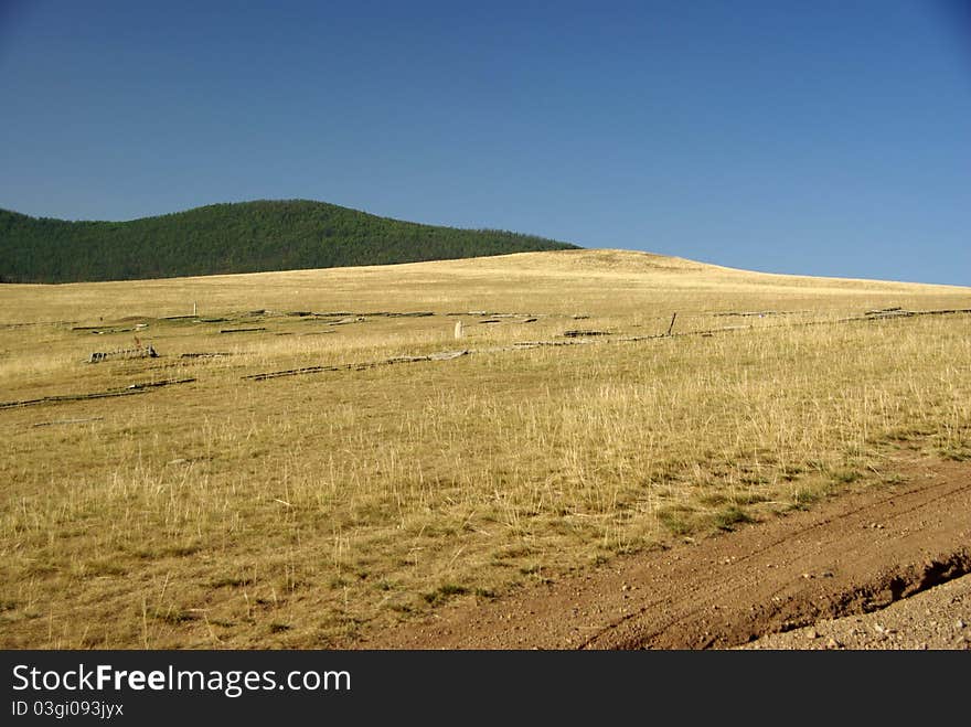 Mongolian Steppe