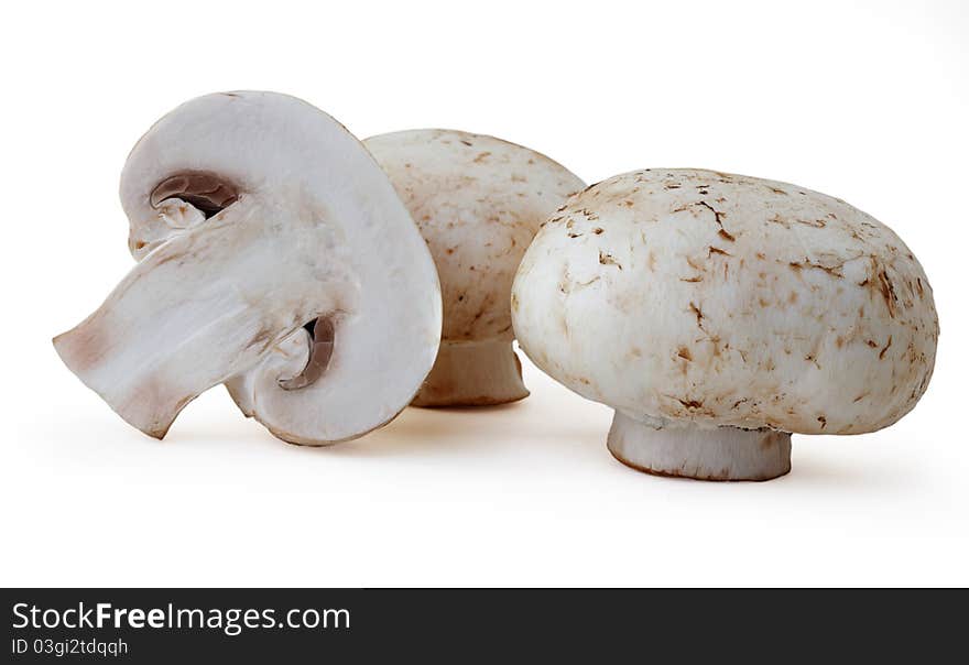 Field mushrooms