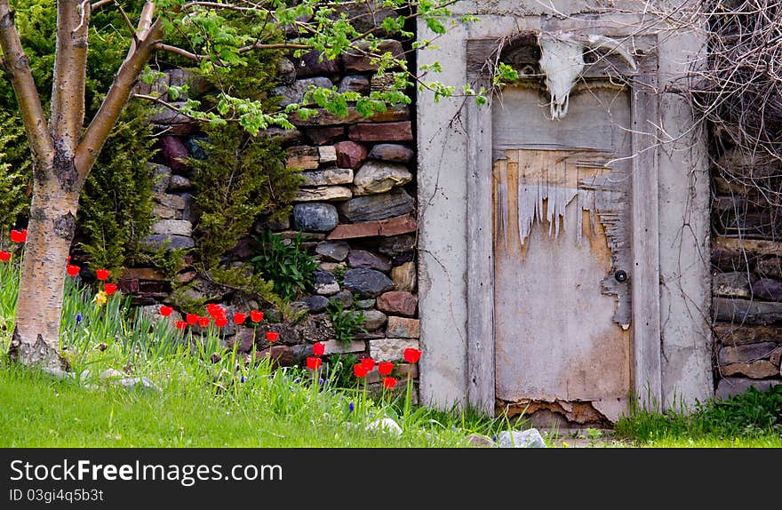 The image of the red inviting tulips, tree, rock wall, old door with the bull skull above was taken in the Moiese Valley of NW Montana. The image of the red inviting tulips, tree, rock wall, old door with the bull skull above was taken in the Moiese Valley of NW Montana.