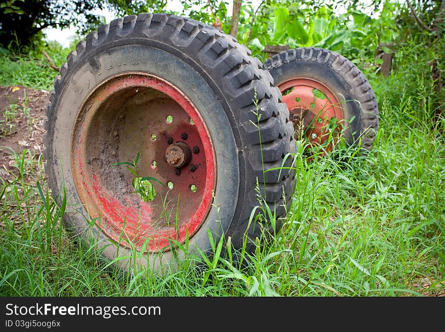 Old used car tires in the green nature