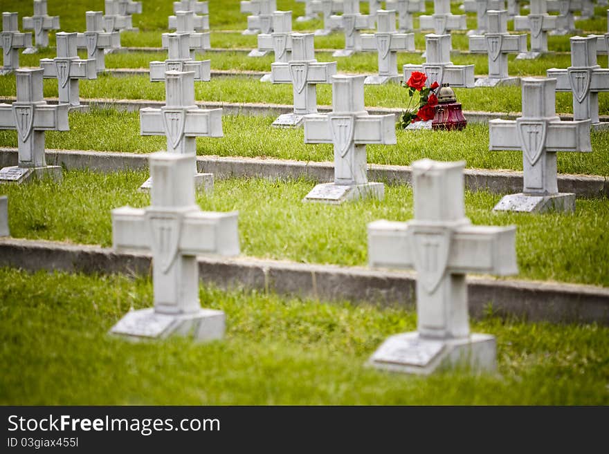 Military cemetery crosses