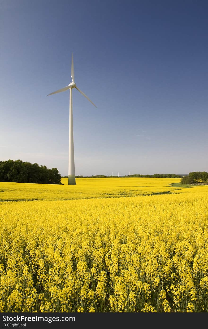 Windmill in the field of yellow rape, spring season. Windmill in the field of yellow rape, spring season