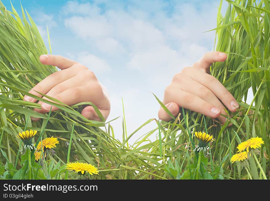 Spring background. Hands and grass